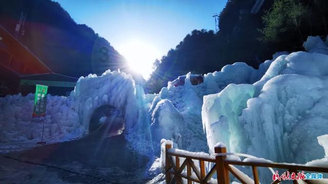 奇妙香蕉之旅