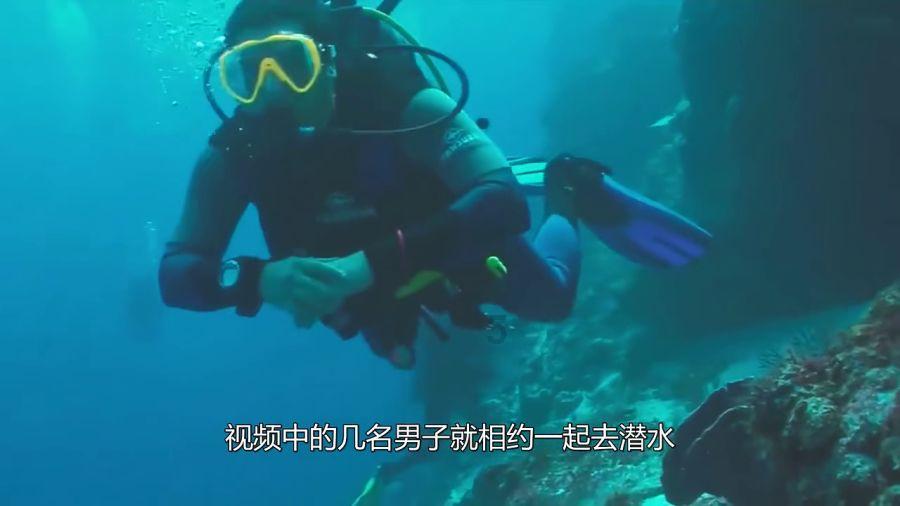 藏獒的故事:藏獒是举世公认的最古怪、最稀有的犬种
