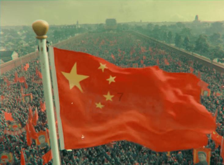 五彩鹦鹉救援